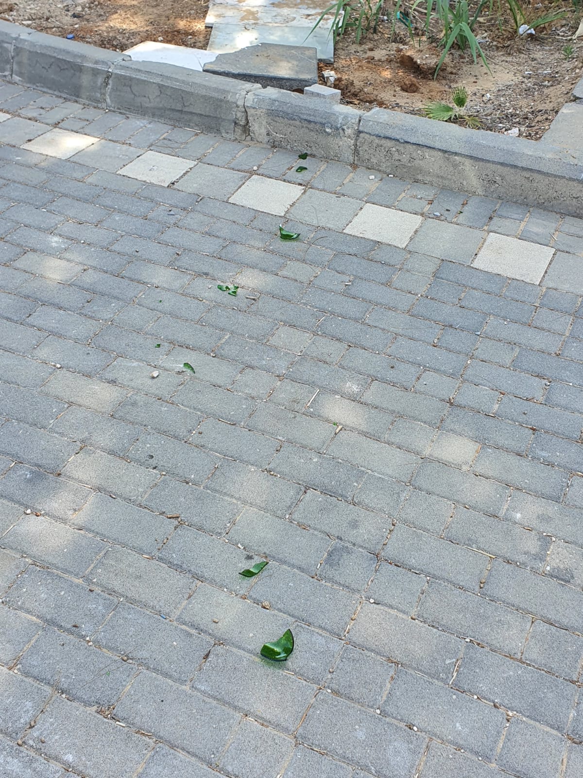 WhatsApp Image 2021-05-12 at 12.25.28 PM (1).jpeg